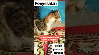 kucing kucing.sound penyesalan.