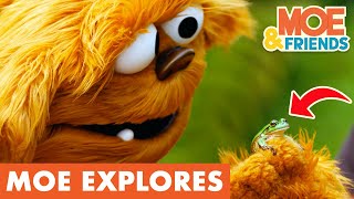 Moe Explores Frogs | Kids Learn About the World Around Them | #MoeExplores