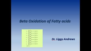 Beta Oxidation of Fatty acids Part I