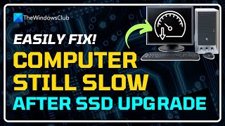 Windows computer still slow after SSD upgrade