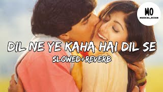 Dil Ne Ye Kaha Hai Dil Se | Slow+Reverb |