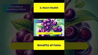 Health Benefits of Black Currant | Falsay k Fayde #falsa #falsajuice #falsajuicerecipe #blackcurrant