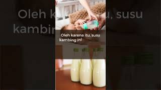 Penyakit yang dapat timbul bila bayi minum susu kambing #kesehatanbayi