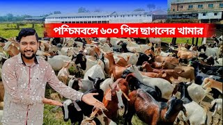 পশ্চিমবঙ্গের ৬০০ পিস ছাগলের খামার। হাওড়া জেলার সবথেকে বড় ছাগলের খামার।