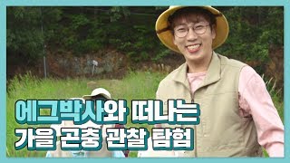 [더아이콘티비 x 현대자동차그룹] 기프트카 콜럼버스 캠페인 - 모전 가을곤충탐험 편