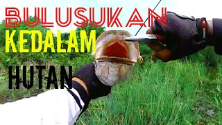 BELUSUKAN KEDALAM HUTAN casting ikan gabus!haruan