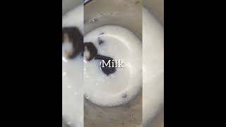 milk shake without sugar | dates milk shake | Yummy milk shake #shorts #snacks #milkshake