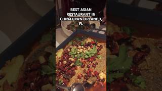 BEST ASIAN RESTAURANT IN CHINATOWN ORLANDO, FL (FULL) VLOG @RichieRayRpl