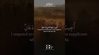 So let them respond to Me [by obedience]. Surah Al Baqarah Ayah 186 #quran #allah #ytshorts #shorts