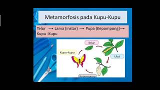 IPA BAB 2 Kelas 4 (Part 1)