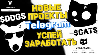 ЭТИ ДВА НОВЫХ ПРОЕКТА ПОДДЕРЖИВАЕТ Павел Дуров | УСПЕЙ ЗАРАБОТАТЬ В ТЕЛЕГРАМ