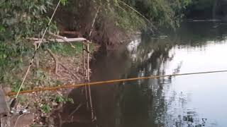 RIO MOGI GUAÇÚ ,  PREPARATIVOS PRA PESCA!