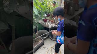 Giving water 💦 to 🪴 plants #good job🥰