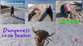 Dungeness crab snaring in two different beaches.