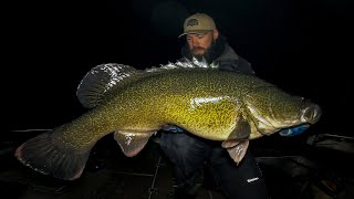 Murray cod fishing in Glenlyon dam