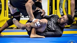 Gabe Hernandez IBJJF NOGI PANS 2021