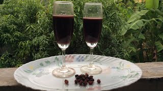 രുചികരവും ആരോഗ്യപ്രദവുമായ മൾബറി ജ്യൂസ്,Mulberry juice