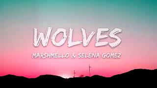 Wolves - Selena Gomez, Marshmellow (lyrics )