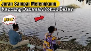 EDAN 😲 IKAN PADA RAKUS TERYATA DBAWAH POHON BESAR TEMPAT  BERKUMPULNYA PARA IKAN-IKAN #mancing