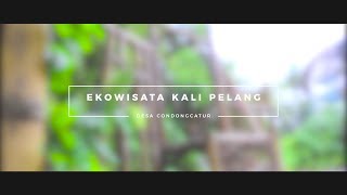 TPID - Desa Condongcatur - EKOWISATA KALI PELANG