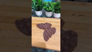 Butterfly chocolate #shorts #youtubeshorts #indianfood #recipe #chocolate #desi #reels #baking