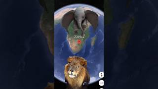 Elephant And Lion On Google Earth And Google Map #ytshorts #earthmap #trending