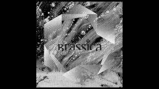 Brassica - Milieux Metrix