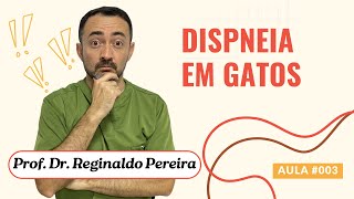 MASTERCLASS: ABORDAGEM DA DISPNEIA EM GATOS