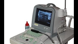 Most affordable Equine,Horse ultrasound KX2600- Only $1999