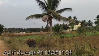 📍9.5 kunte Land for sale near Mysore ( 9110861228 )