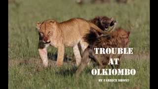 Trouble at Olkiombo