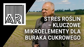 Stres roślin – kluczowe mikroelementy dla buraka cukrowego || AR #212