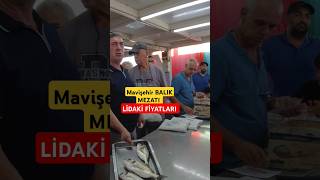 MAVİŞEHİR BALIK MEZATINDA LİDAKİ FİYATLARI. #çipura #levrek #lidaki  #balık mavişehirbalıkmezatı