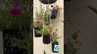 Diy Using Waste Bottles #trending #bottle #grow #flowers