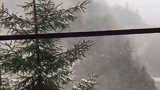 snow falling in Kashmir