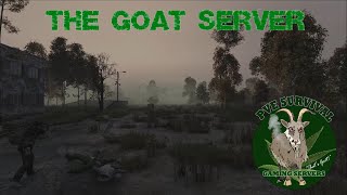 The Goat Server