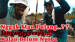 Sampe Nggak Mau Pulang..!! Mancing Ikan Belanak Di Sungai Mangrove Tangerang