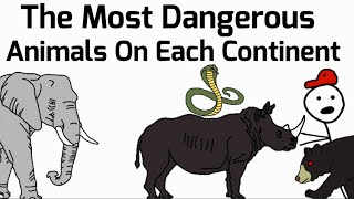 The Most Dangerous Animals On Each Continent