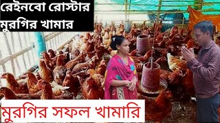 রেইনবো রোস্টার মুরগির খামার| murgir khamar| murgi palone labh| #মুরগির_খামার #graduate_farmer