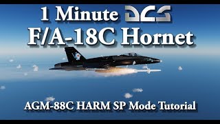 1 Minute DCS - F/A-18C Hornet - AGM-88C HARM SP Mode Tutorial