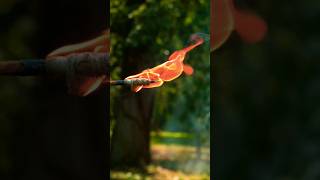 A Fired Arrow Shoot.🏹🔥..... #amazing #arrow #fire #dangerous #satisfying #trending #shorts #wtf #bts