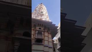 Shakambhari Mata Mandir Sikar | sakray dham | udaypurvati | Rajasthan #shorts