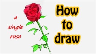 HOW TO DRAW A SINGLE ROSE. Easy step by step tutorial