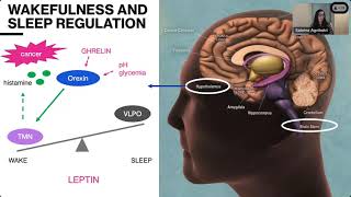 From Dusk till Dawn: Navigating the Link Between Sleep Disorders, Cancer & Therapeutic Insights