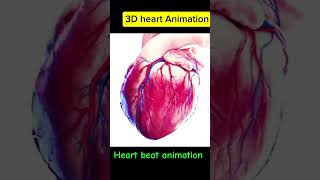 3D Heart Animation #trendingshorts#trending#shortfeed#shortvideo#heartbeat#humanheart