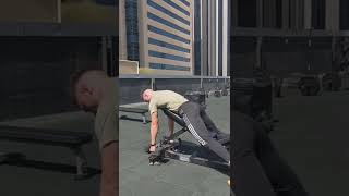 Chest Supported DB Row (Neutral Grip)