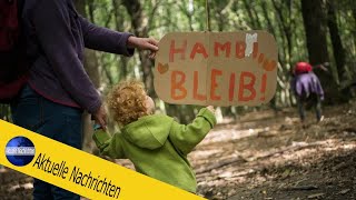 NRW-Grüne wollen Parteitag am Hambacher Forst abhalten