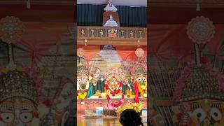 Celebrating Ratha Yatra In Nashville , America #trending #youtubeshorts  #rathyatra