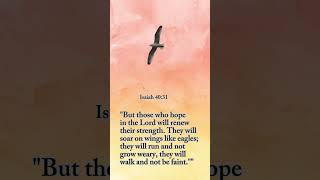 Isaiah 40:31 #isaiah4031 #hopeinchrist #strengthinfaith #endurance #viralvideo #foryoushort