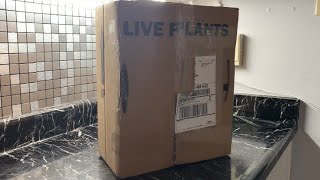 Unboxing some exciting wish list plants!